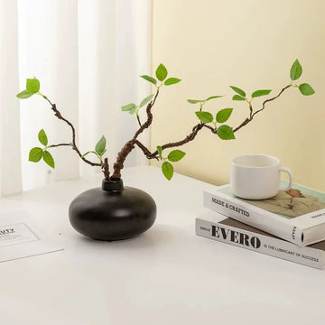 Zen Botanical Branch
